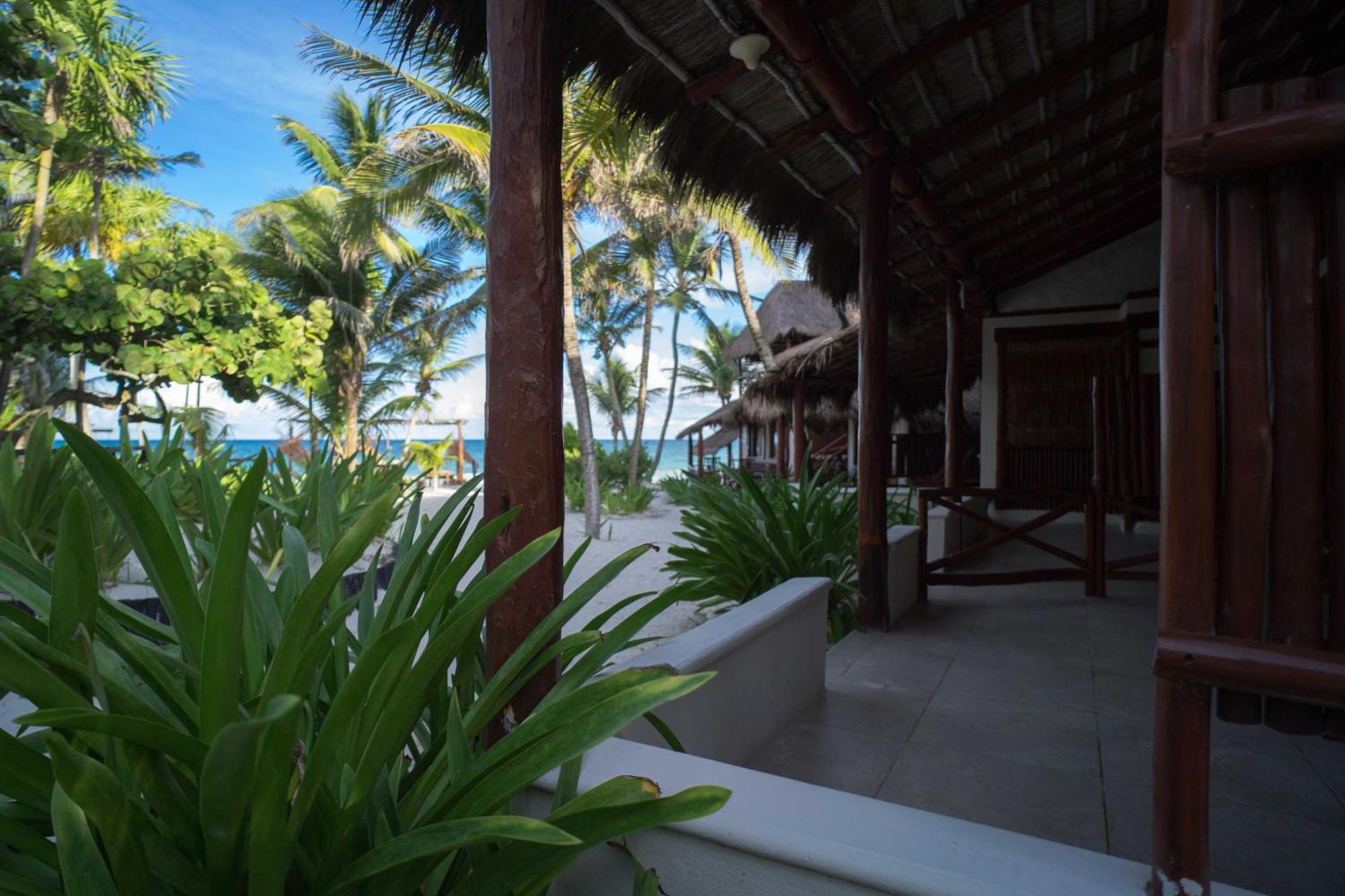 Bt Live Tulum Located At The Party Zone Hotel ภายนอก รูปภาพ