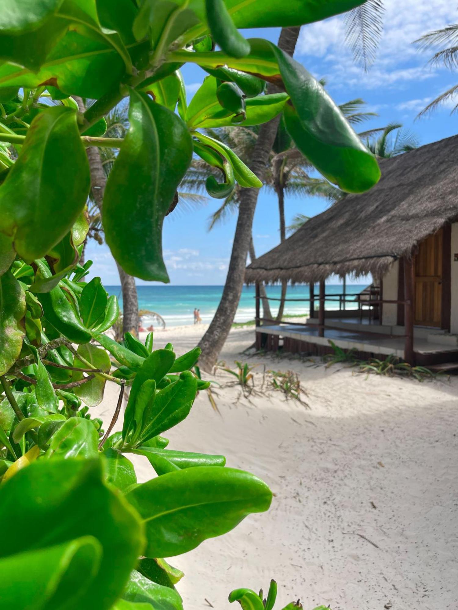 Bt Live Tulum Located At The Party Zone Hotel ภายนอก รูปภาพ