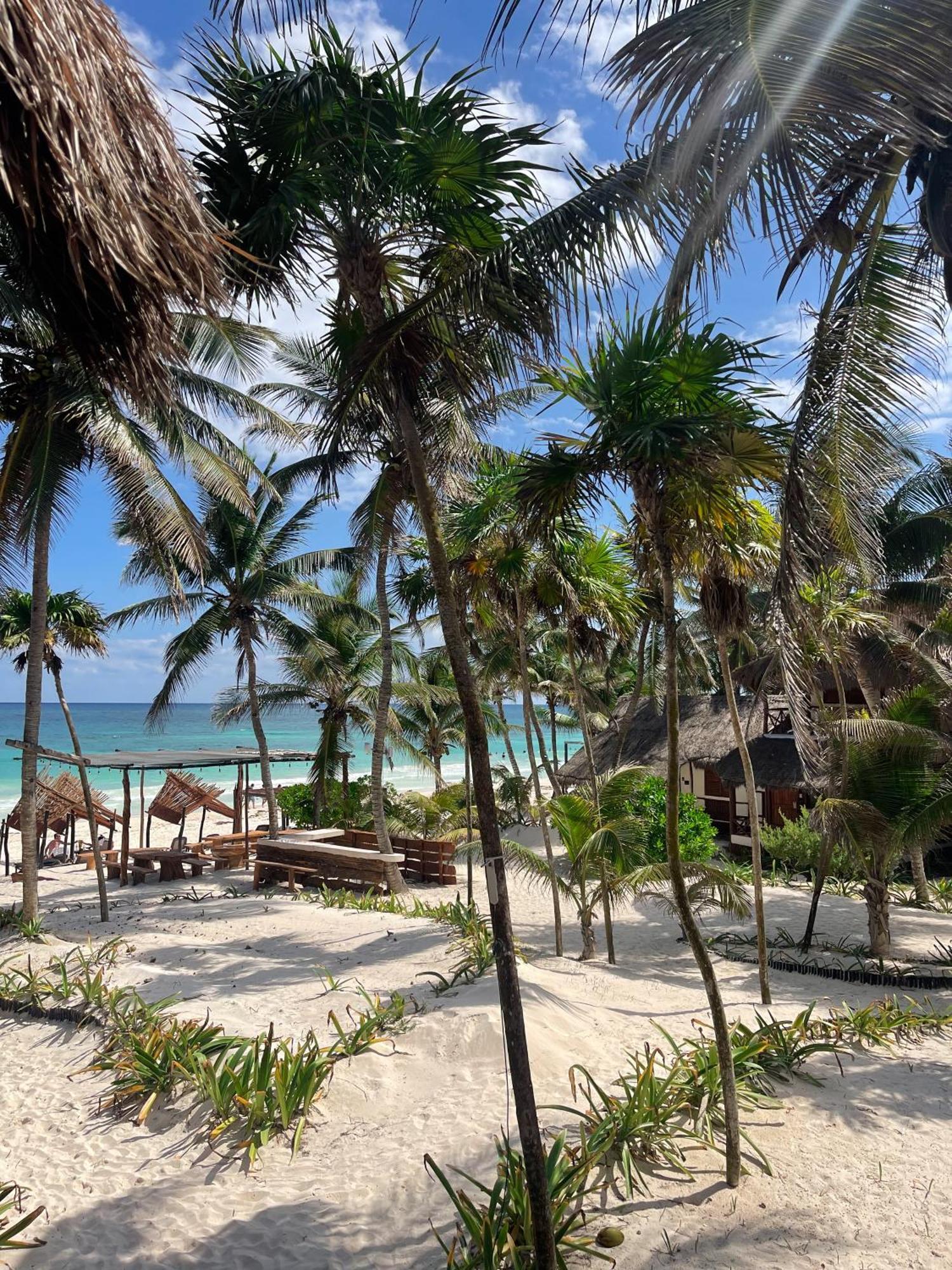 Bt Live Tulum Located At The Party Zone Hotel ภายนอก รูปภาพ