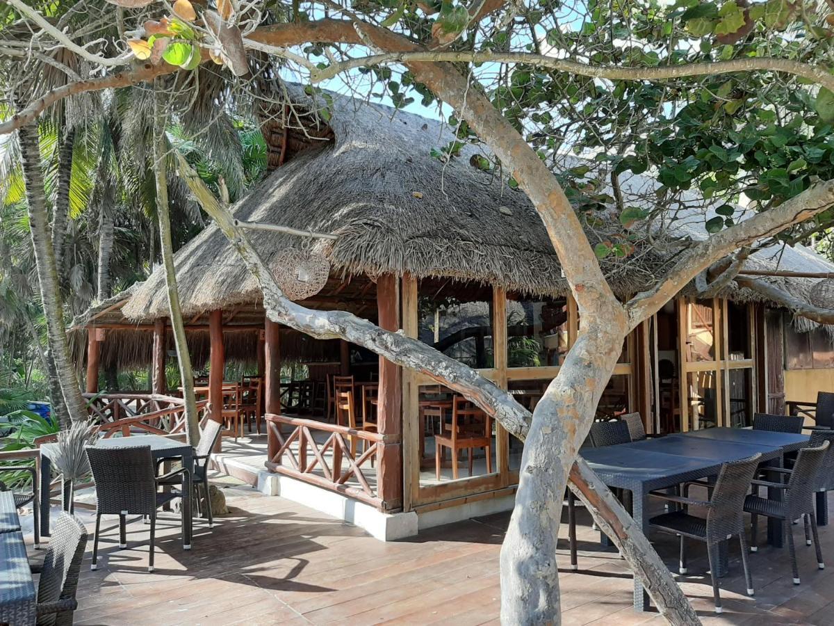 Bt Live Tulum Located At The Party Zone Hotel ภายนอก รูปภาพ